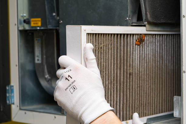 Best Affordable Duct Cleaning Services  in Reedsville, WI