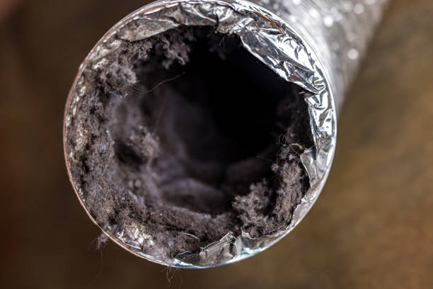 Best Ventilation Cleaning Services  in Reedsville, WI